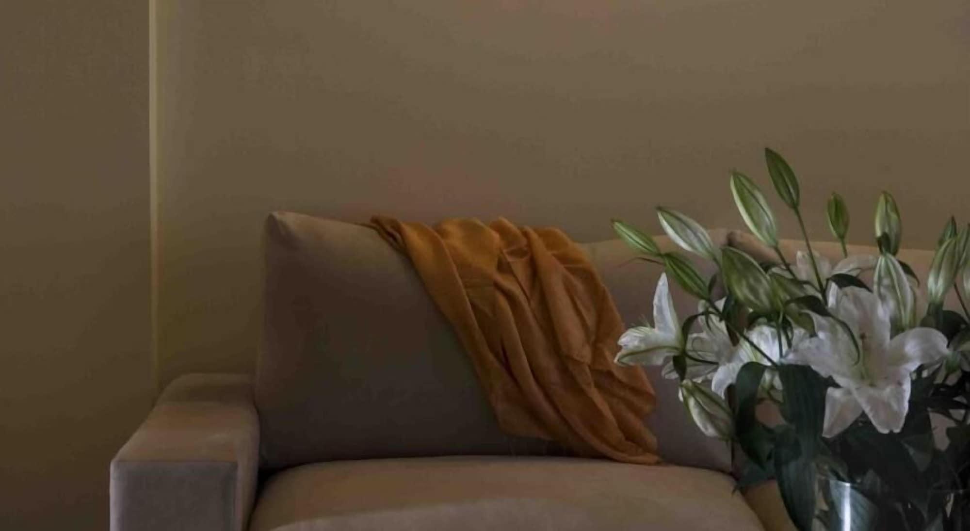 Valis Resort Hotel Volos Bagian luar foto A throw draped over a sofa
