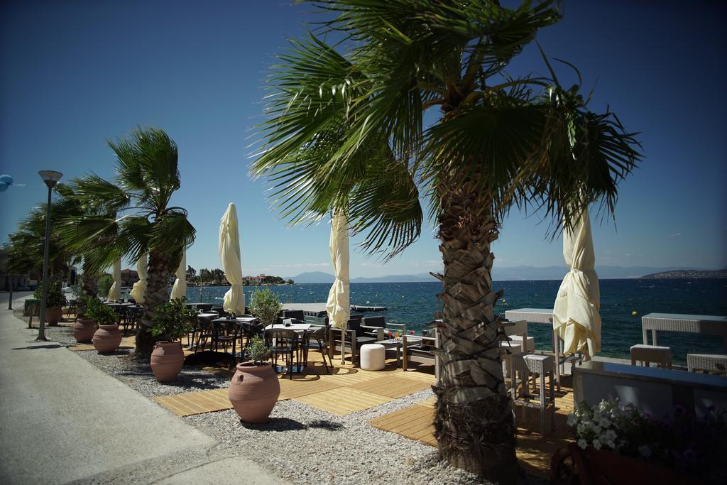 Valis Resort Hotel Volos Bagian luar foto Palm trees in the port of Argostoli